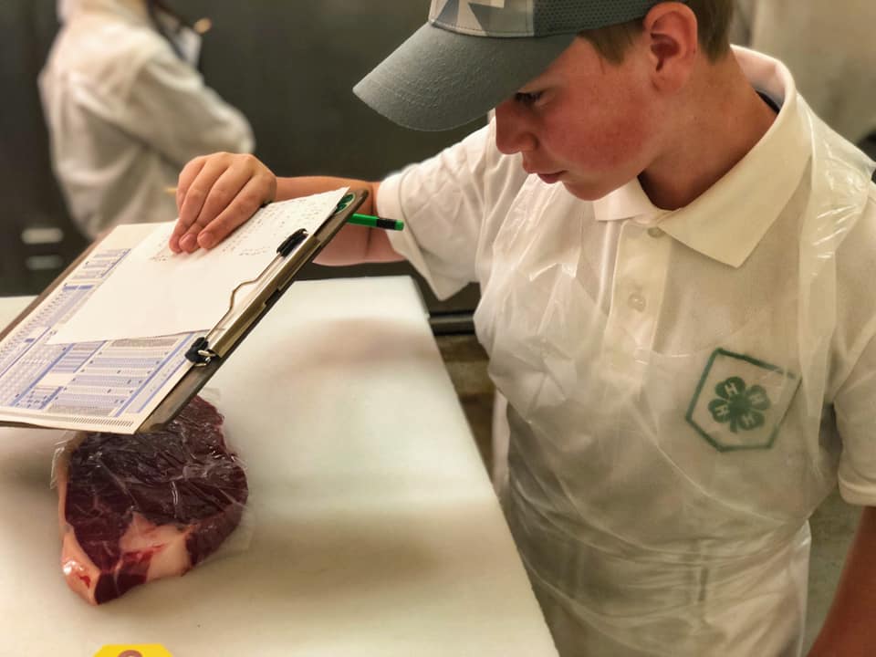 Meat Judging NDSU Agriculture